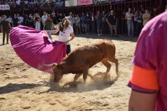 DSC_0130-Mediana