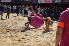 DSC_0132-Mediana
