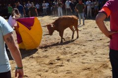 DSC_0134-Mediana
