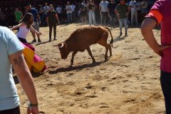DSC_0135-Mediana
