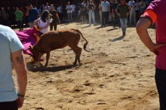 DSC_0136-Mediana