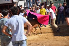 DSC_0142-Mediana
