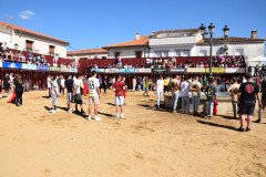 DSC_0147-Mediana