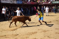 DSC_0156-Mediana