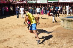 DSC_0157-Mediana