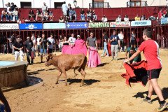 DSC_0158-Mediana