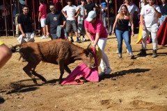 DSC_0160-Mediana
