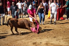 DSC_0161-Mediana