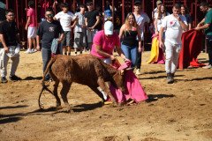 DSC_0162-Mediana