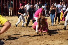 DSC_0163-Mediana