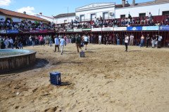 DSC_0172-Mediana