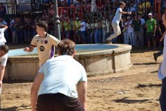 DSC_0180-Mediana