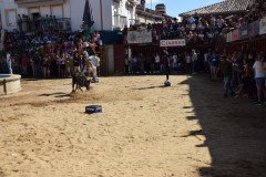 DSC_0186-Mediana