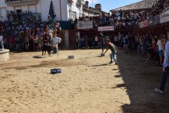 DSC_0188-Mediana