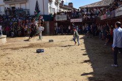 DSC_0189-Mediana