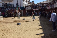 DSC_0190-Mediana