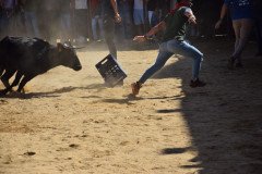 DSC_0194-Mediana