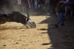 DSC_0195-Mediana