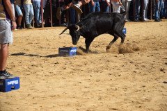 DSC_0198-Mediana
