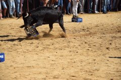 DSC_0199-Mediana