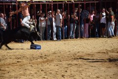 DSC_0200-Mediana