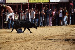 DSC_0201-Mediana