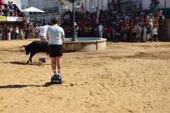 DSC_0202-Mediana