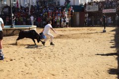 DSC_0206-Mediana