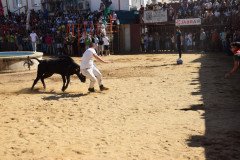 DSC_0207-Mediana