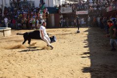 DSC_0208-Mediana