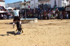 DSC_0210-Mediana
