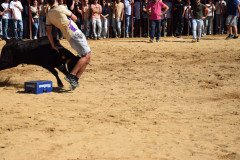 DSC_0215-Mediana