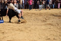 DSC_0216-Mediana