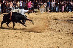 DSC_0217-Mediana