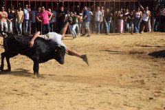 DSC_0218-Mediana
