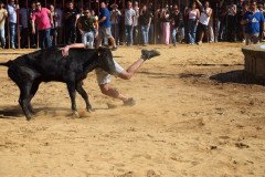 DSC_0219-Mediana