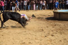DSC_0220-Mediana