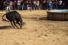 DSC_0221-Mediana