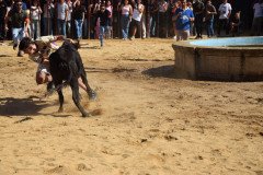 DSC_0222-Mediana