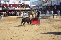 DSC_0224-Mediana