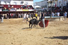 DSC_0225-Mediana