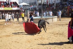 DSC_0226-Mediana