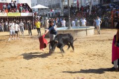 DSC_0227-Mediana