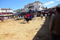 DSC_0228-Mediana