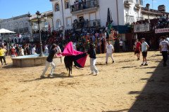 DSC_0230-Mediana