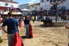 DSC_0231-Mediana