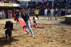 DSC_0233-Mediana