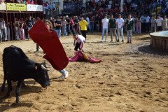 DSC_0234-Mediana