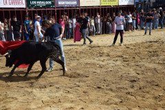 DSC_0236-Mediana
