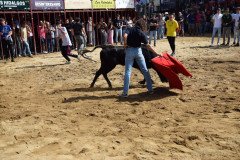 DSC_0239-Mediana
